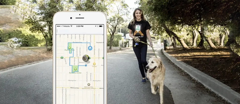 Best Dog Walking Apps of 2023